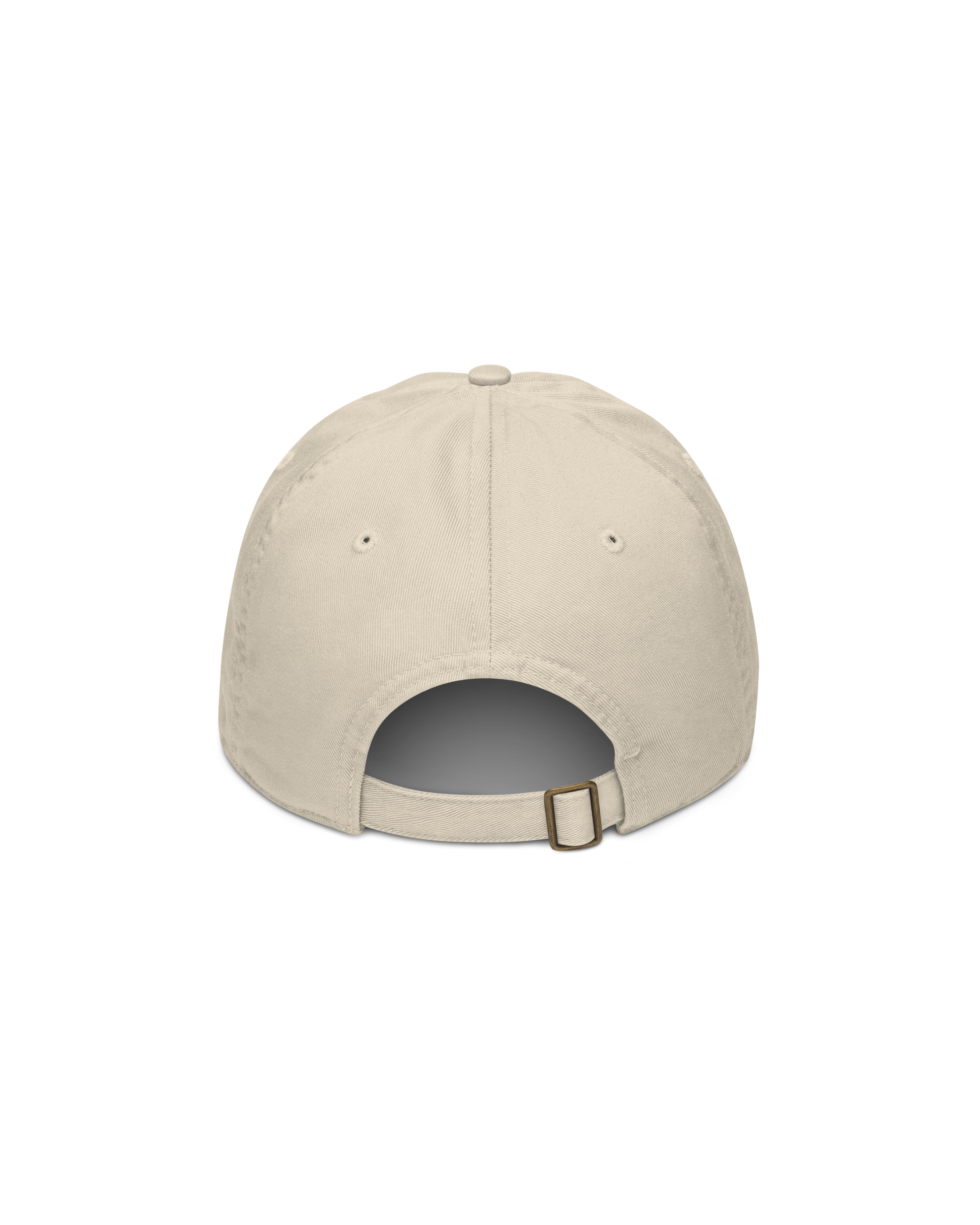 Go Slower Organic Cap in oyster with Go Slower embroidery