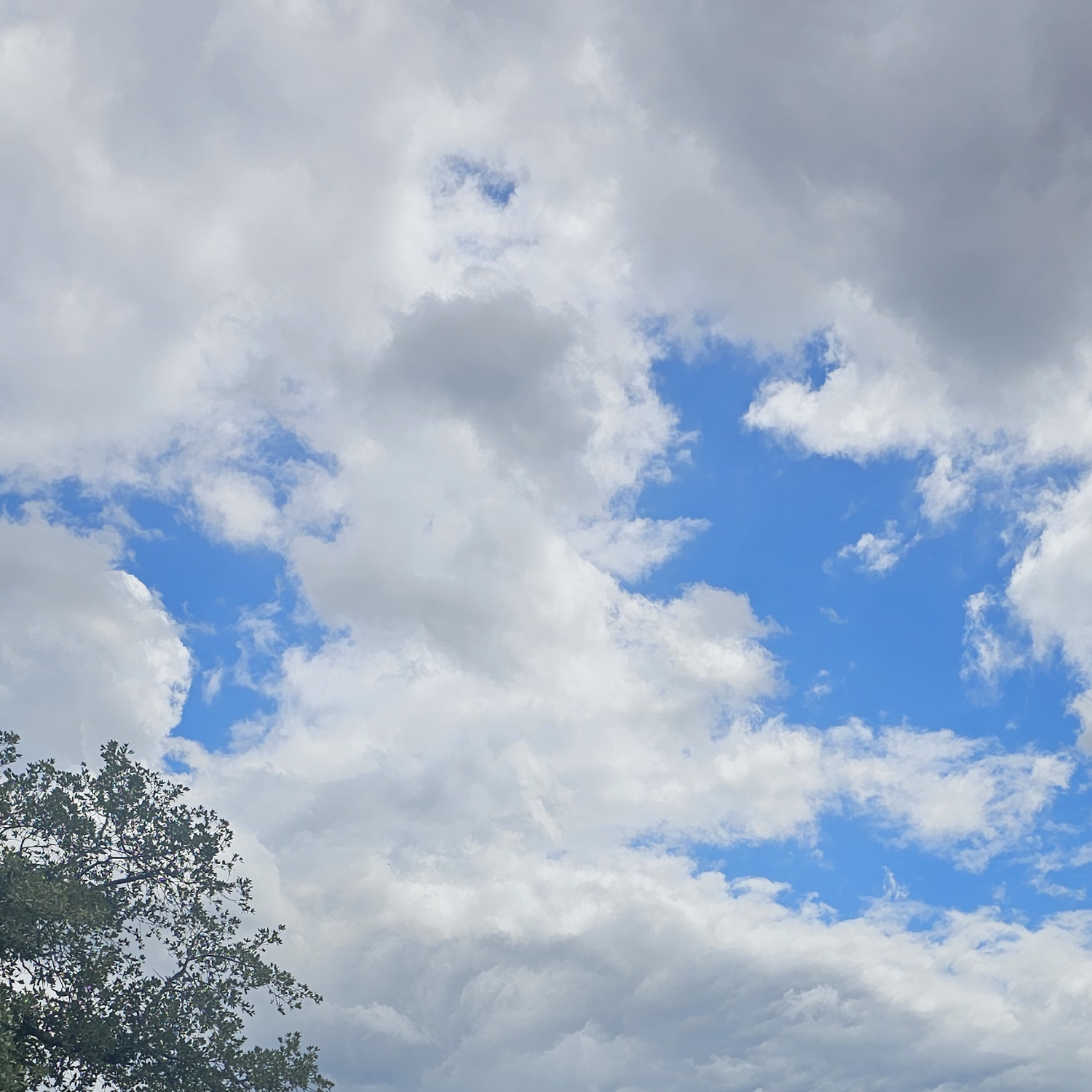 A wide sky of soft white clouds and patches of blue, with the top of a green tree in one corner.