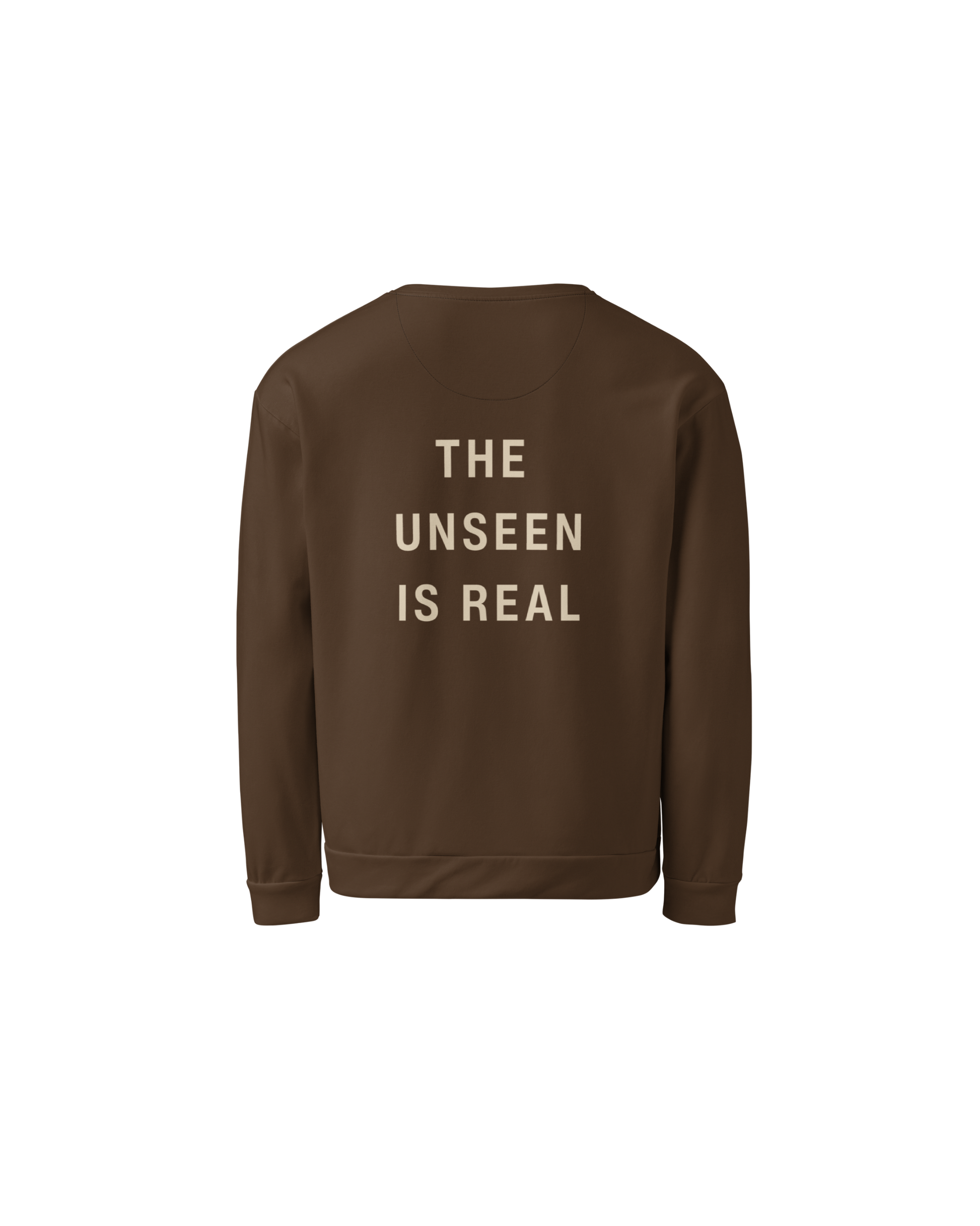Unseen Recycled Sweater in chocolate brown with The Unseen Is Real back print